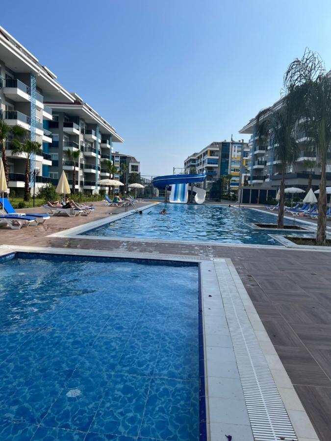 Calypso Kestel Alanya